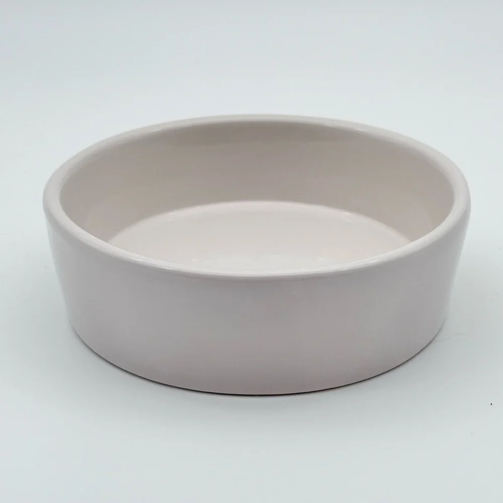 Rae Dunn Pet SPOILED Small Dog/Cat Ceramic Bowl Feeder